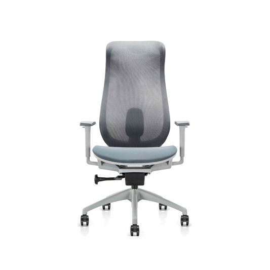 Bova Gray Office Chair