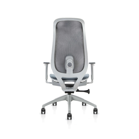 Bova Gray Office Chair