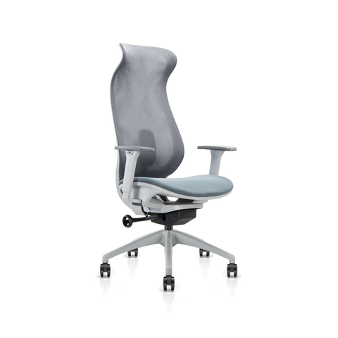 Bova Gray Office Chair