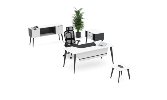 Next Executive Desk Set