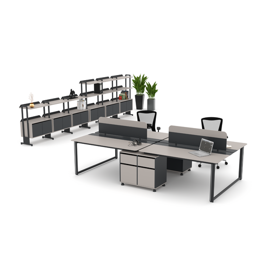 Zelve Workstation Systems